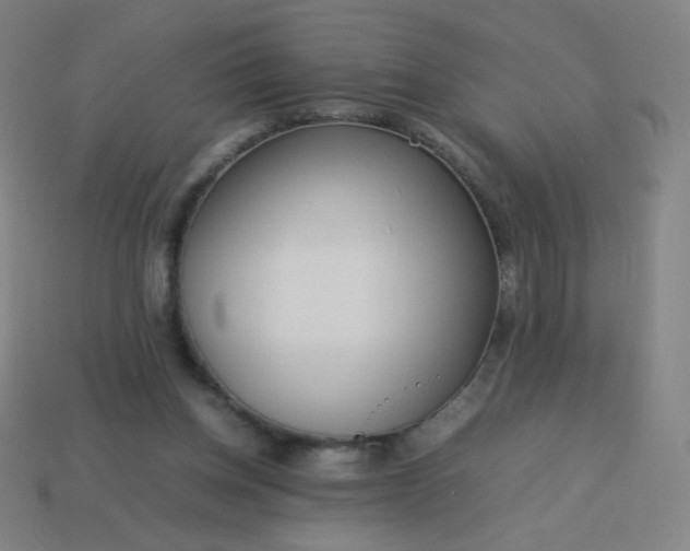 X0000114060158200910191508