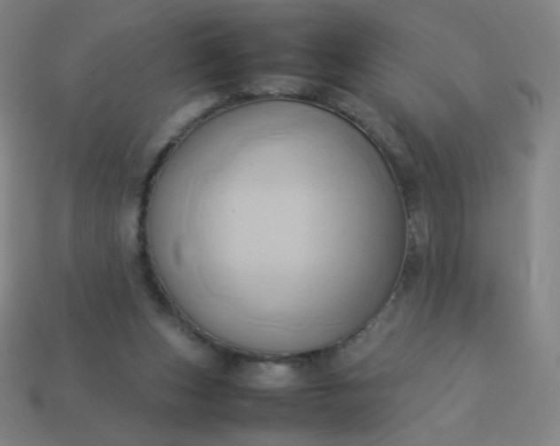 X0000114060159200910191508