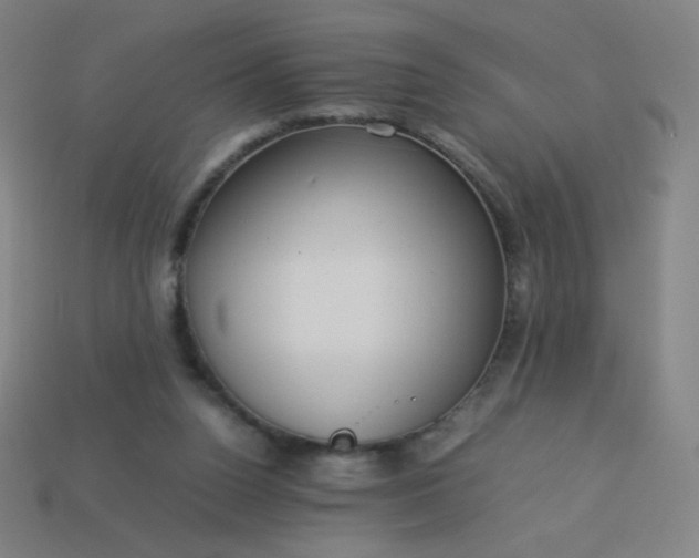 X0000114060160200910191508