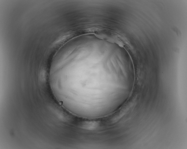 X0000114060161200910191508