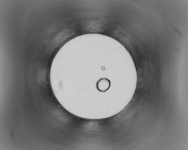 X0000114060162200910191508