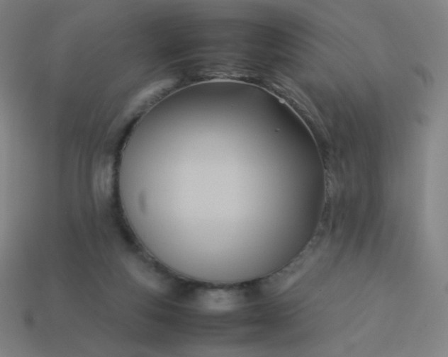 X0000114060163200910191508