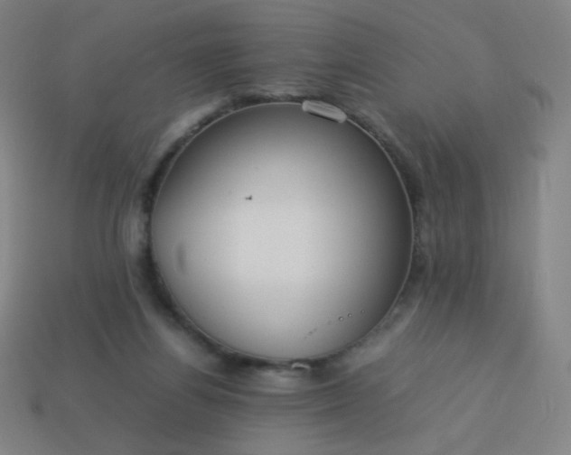 X0000114060164200910191508