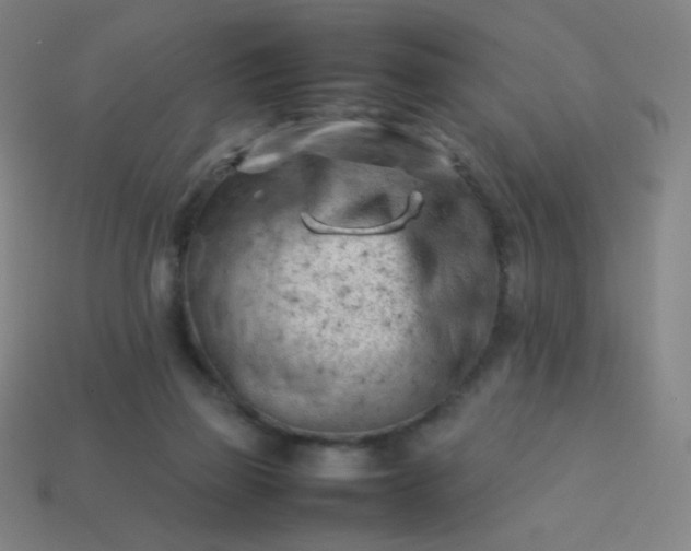 X0000114060165200910191508