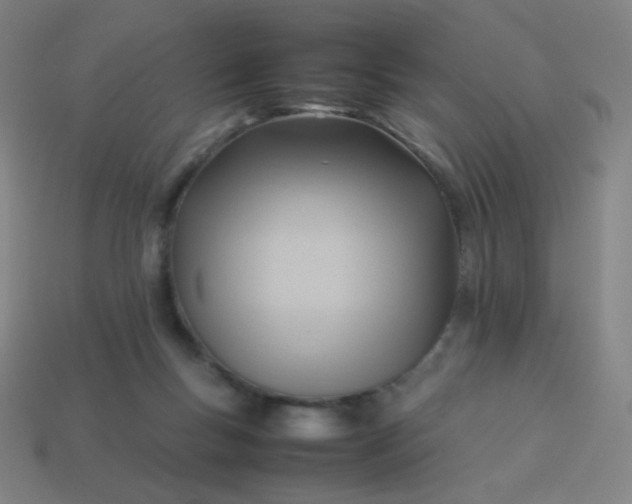 X0000114060167200910191508