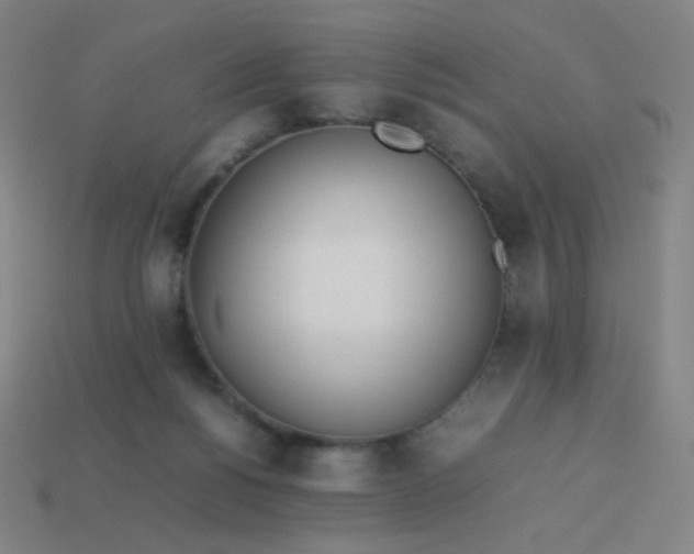 X0000114060168200910191508