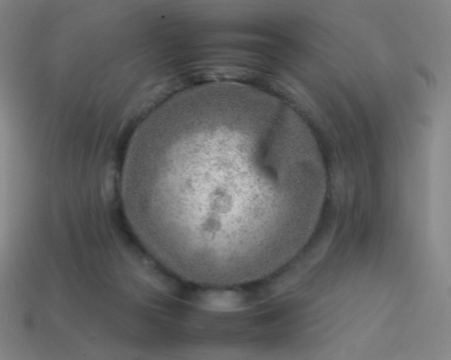 X0000114060169200910191509