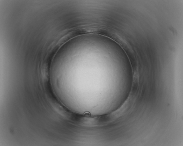 X0000114060170200910191509