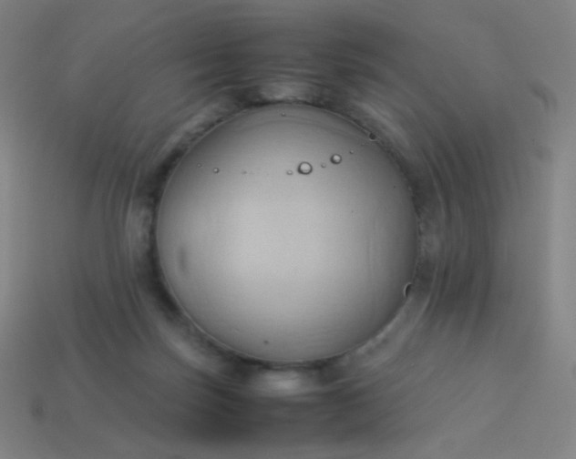 X0000114060171200910191509