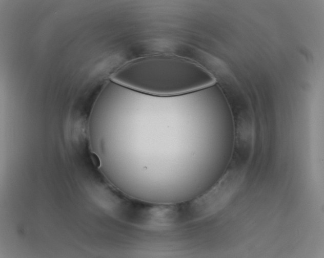 X0000114060172200910191509