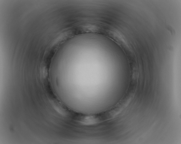 X0000114060173200910191509