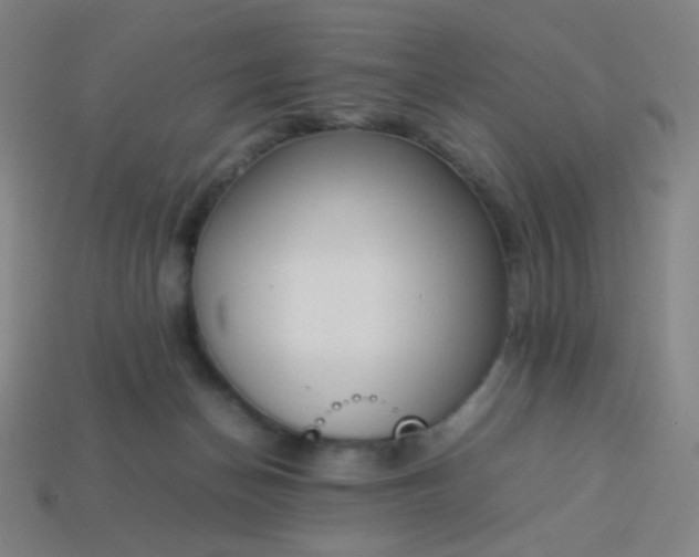 X0000114060174200910191509