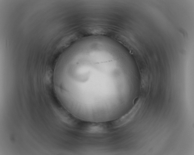 X0000114060175200910191509