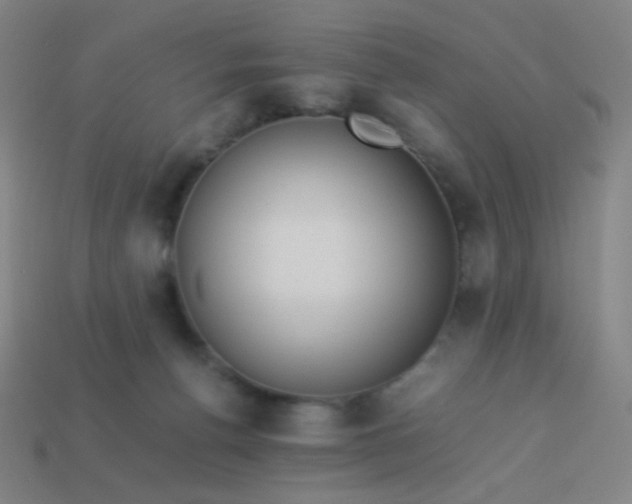 X0000114060176200910191509