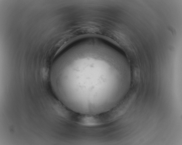 X0000114060177200910191509