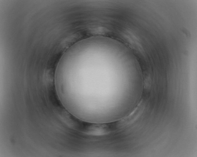 X0000114060179200910191509