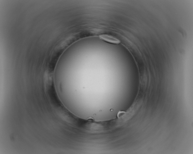 X0000114060180200910191509