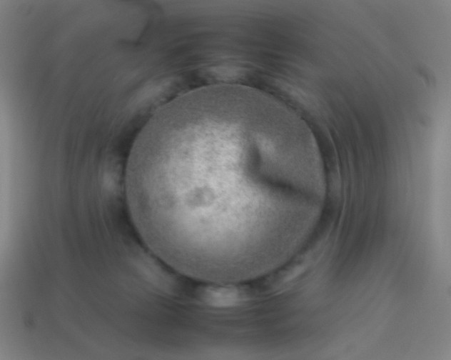 X0000114060181200910191509