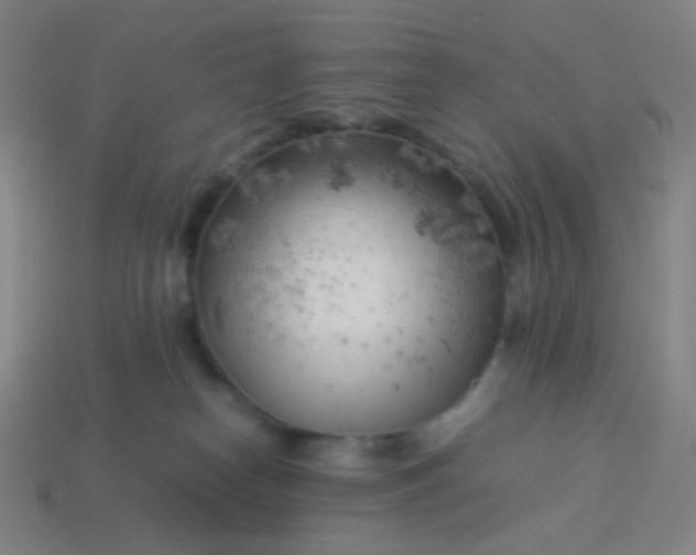 X0000114060182200910191509