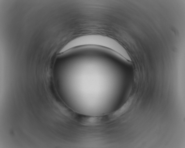 X0000114060184200910191509