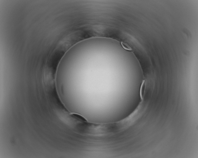 X0000114060186200910191509