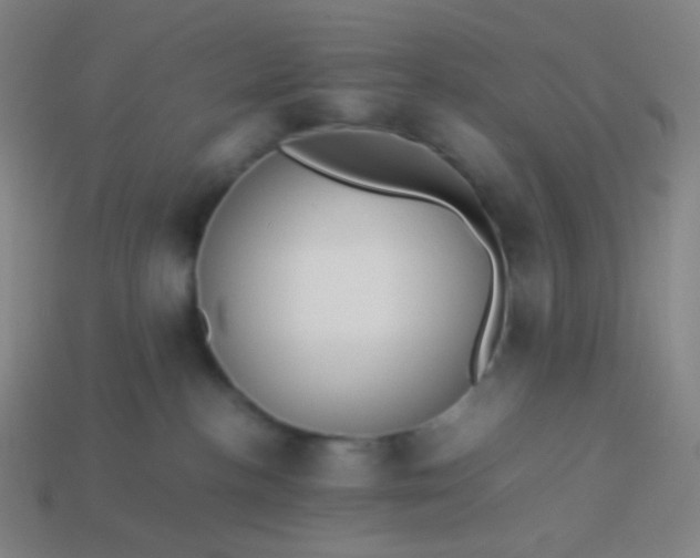 X0000114060188200910191509