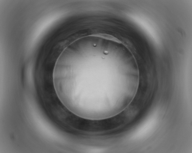 X0000114060189200910191509