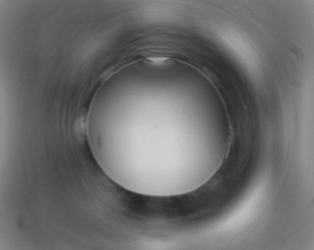 X0000114060190200910191509