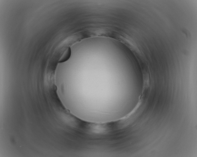 X0000114060191200910191509