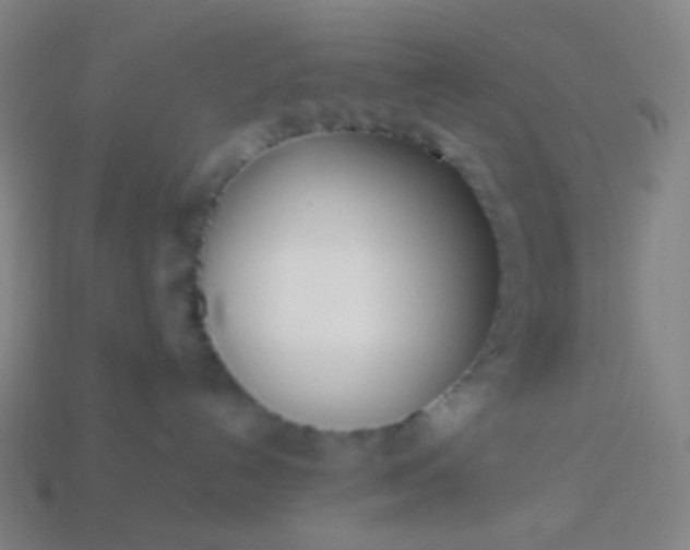 X0000114060192200910191509