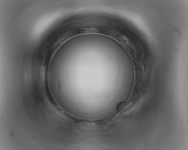 X0000114060194200910191508