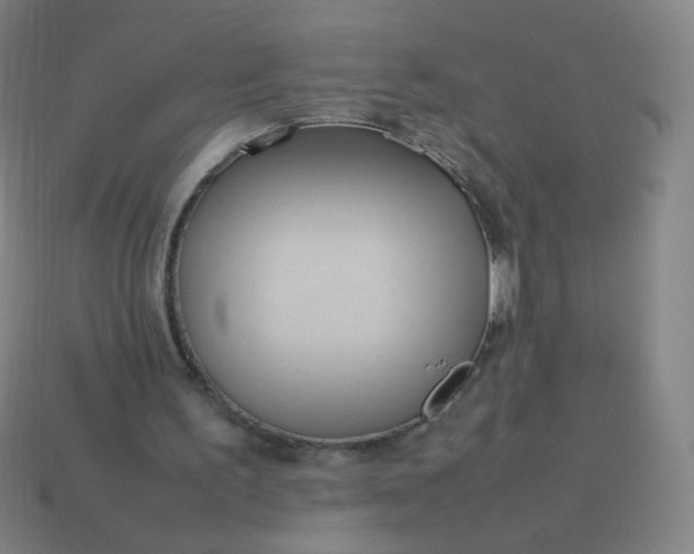 X0000114060195200910191508