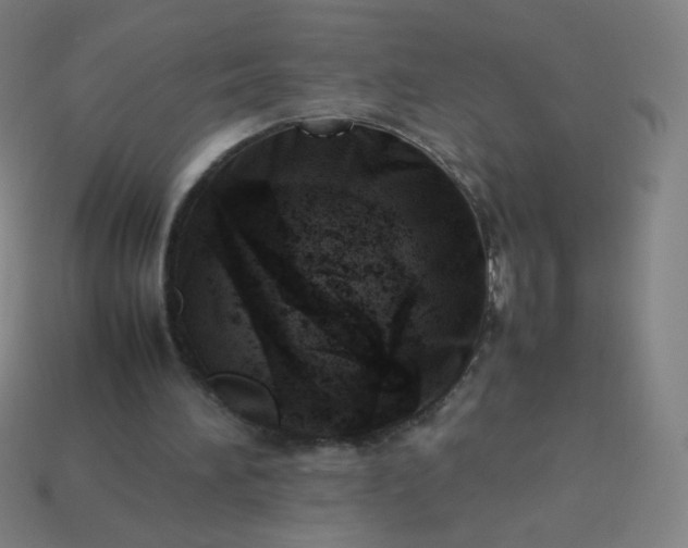 X0000114060196200910191508