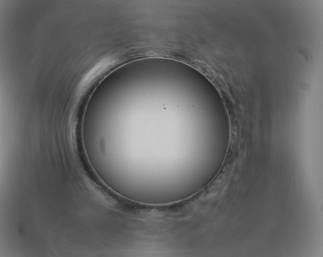 X0000114060197200910191508