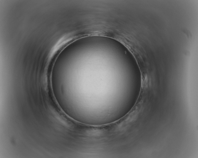 X0000114060198200910191508