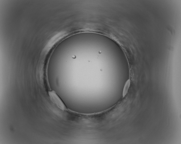 X0000114060199200910191508