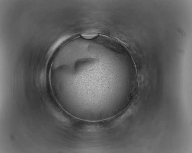 X0000114060200200910191508