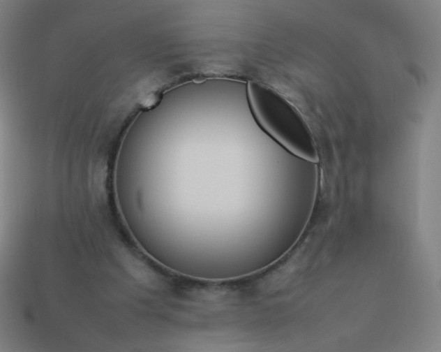 X0000114060201200910191508