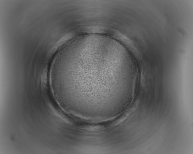 X0000114060202200910191508