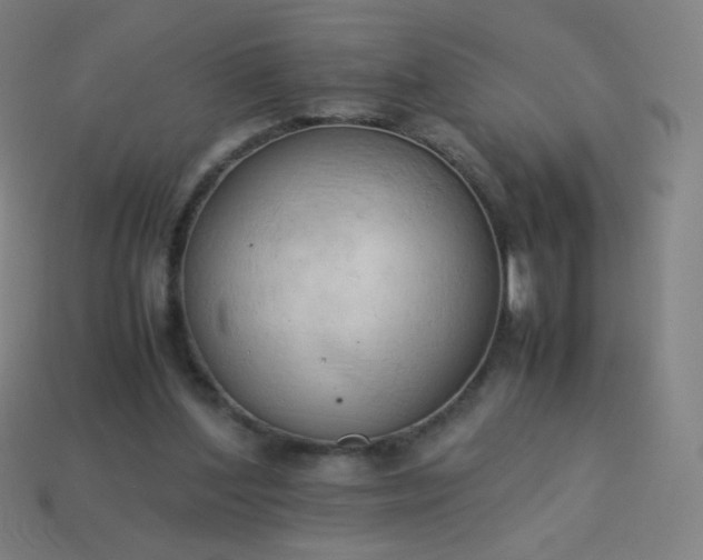 X0000114060204200910191508