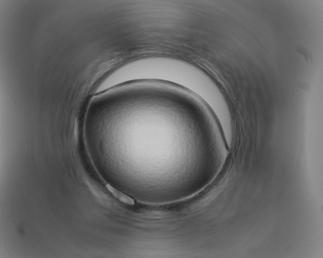 X0000114060205200910191508