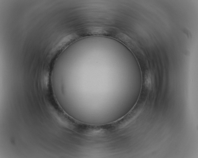 X0000114060206200910191508