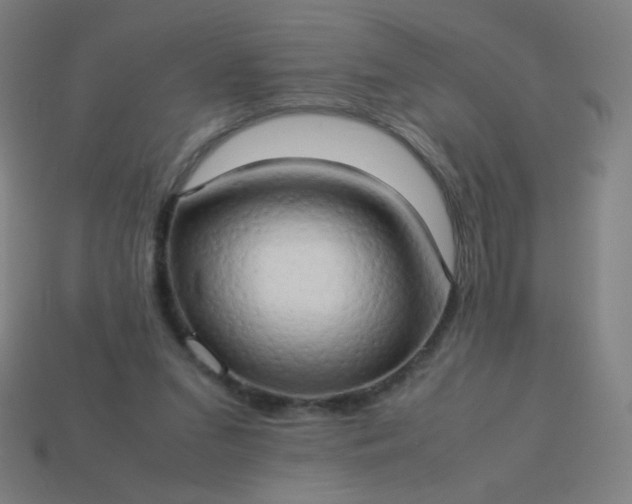 X0000114060207200910191508