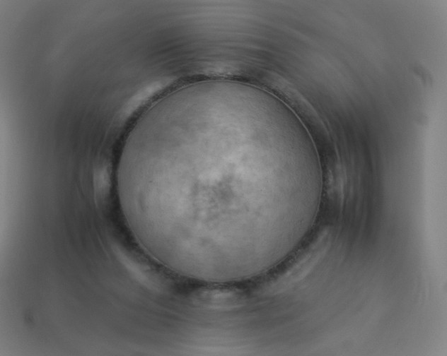 X0000114060208200910191508