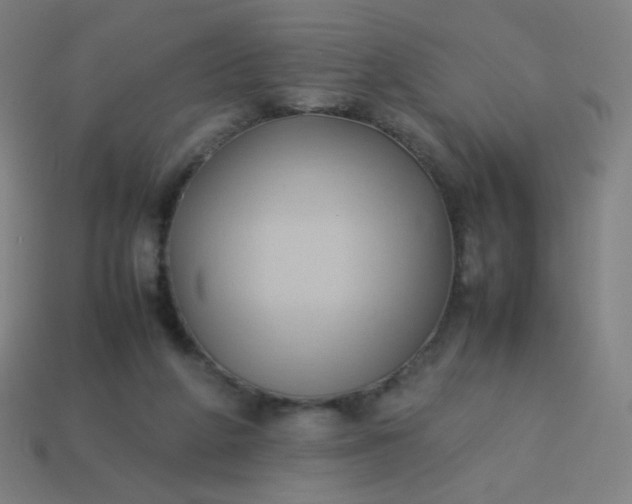 X0000114060210200910191508