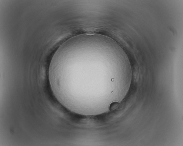 X0000114060211200910191508