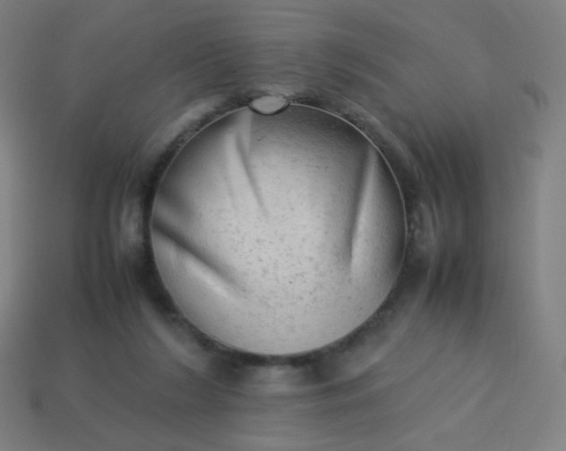 X0000114060212200910191508