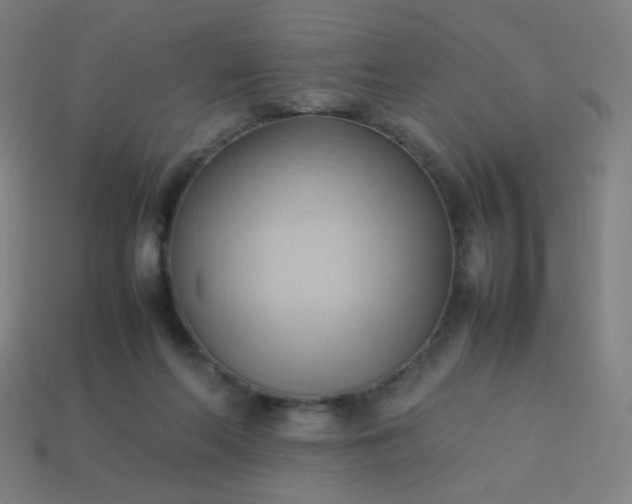 X0000114060214200910191508