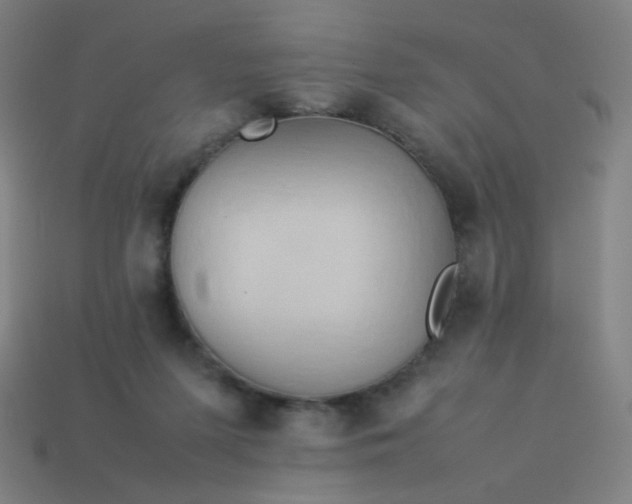 X0000114060215200910191508