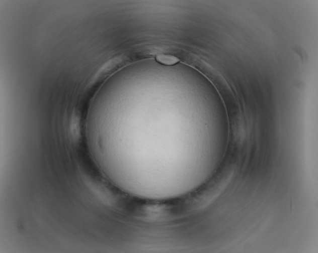 X0000114060216200910191508